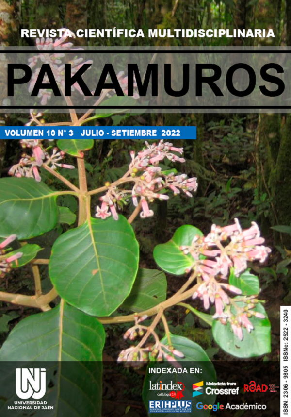 					Ver Vol. 10 Núm. 3 (2022): Revista Científica Pakamuros
				