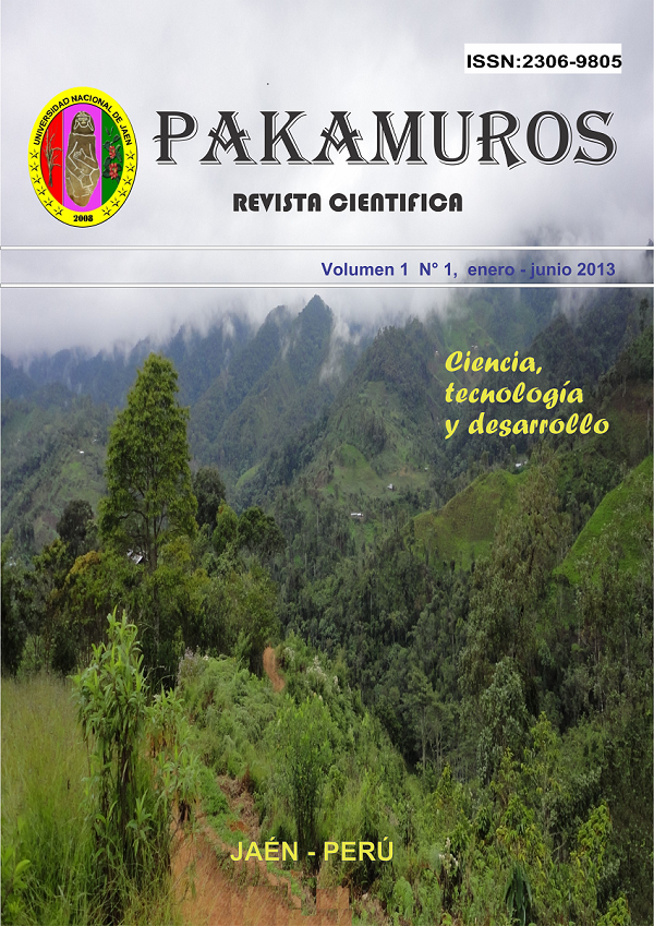 					Ver Vol. 1 Núm. 1 (2013): Revista Científica Pakamuros
				