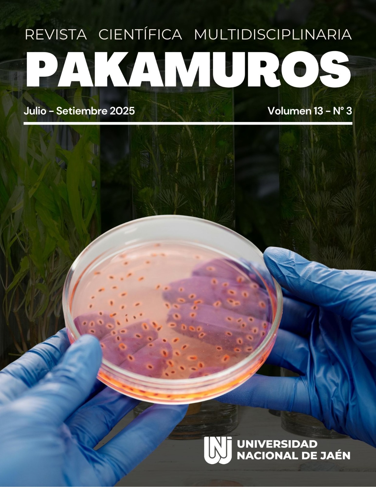 					Ver Vol. 13 Núm. 3 (2025): Revista Científica Pakamuros 
				