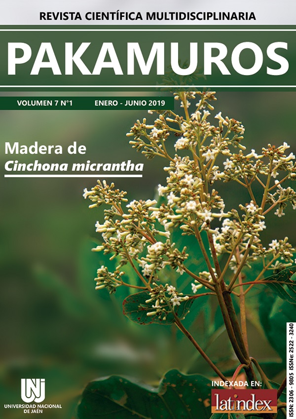 					Ver Vol. 7 Núm. 1 (2019): Revista Científica Pakamuros
				